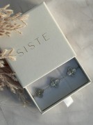 bliss silver brans.JPG