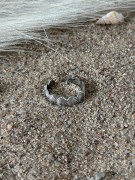 Pierscionek SHELLA silver 3.JPG